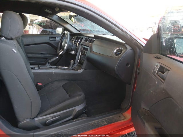 1ZVBP8AM1E5278224 Ford Mustang V6