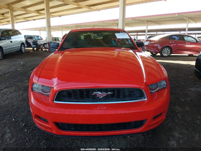1ZVBP8AM1E5278224 Ford Mustang V6