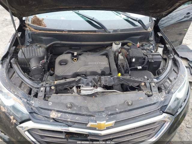 2GNAXREV2J6167663 Chevrolet EQUINOX LS