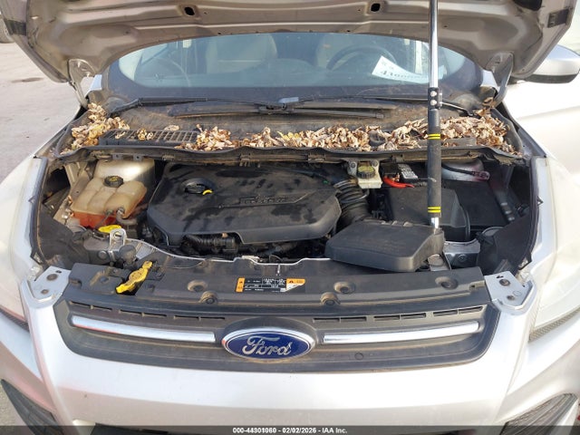 Ford ESCAPE SE 2014 1FMCU0GX4EUD94215 Image 10