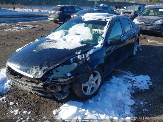 2004 ACURA TL 19UUA66274A023562 Photo 1