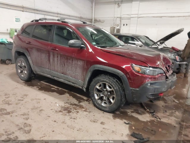 2019 JEEP CHEROKEE 1C4PJMBX5KD361717