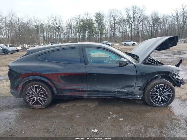 Ford Mustang Mach-e Premium 2024 3FMTK3SU3RMA14408 Image 13