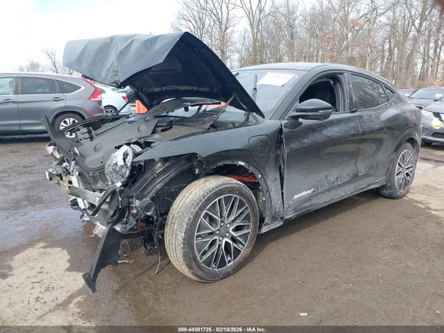 Ford Mustang Mach-e Premium 2024 3FMTK3SU3RMA14408 Image 2