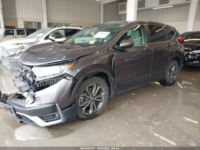 2020 HONDA CR-V 7FARW1H54LE024954 Photo 1