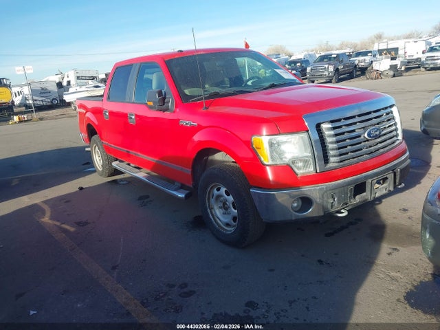 2010 FORD F-150 1FTFW1EV4AFD05342