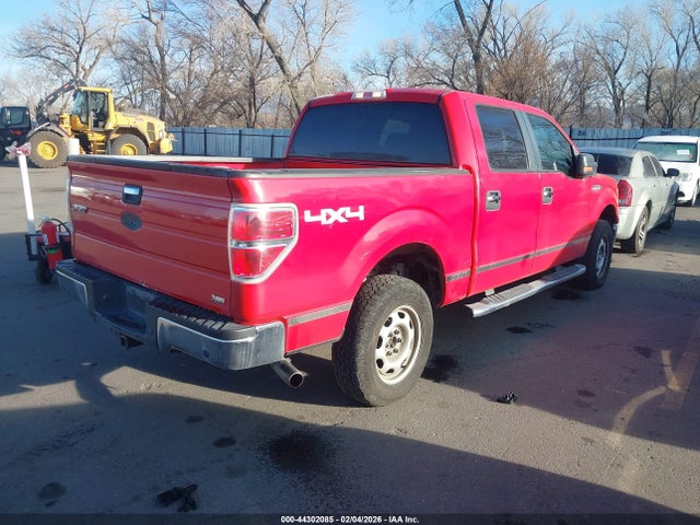 2010 FORD F-150 1FTFW1EV4AFD05342 Photo 3