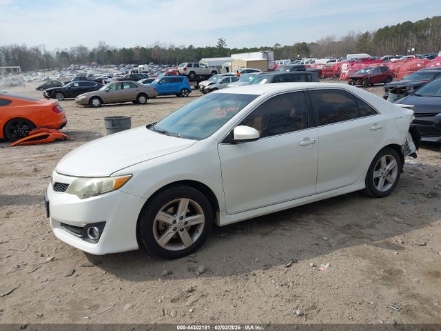 4T1BF1FK7EU455770 Toyota CAMRY SE