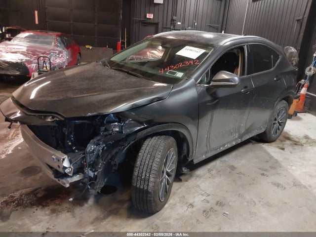 44302342 :رقم المزاد ، 2T2AGCEZXSC082154 vin ، 2025 Lexus Nx 350 مزاد بيع
