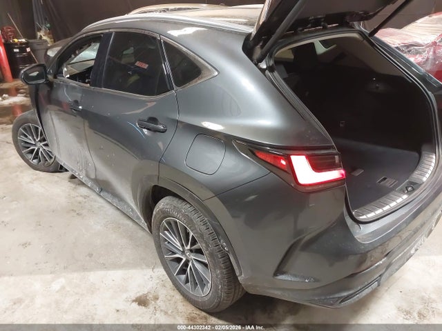 44302342 :رقم المزاد ، 2T2AGCEZXSC082154 vin ، 2025 Lexus Nx 350 مزاد بيع