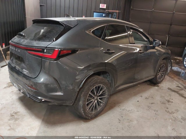 44302342 :رقم المزاد ، 2T2AGCEZXSC082154 vin ، 2025 Lexus Nx 350 مزاد بيع