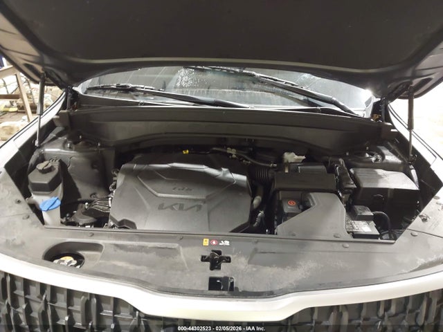 2024 Kia Telluride Lx მანქანა იყიდება აუქციონზე, vin: 5XYP2DGC0RG556980, აუქციონის ნომერი: 44302523