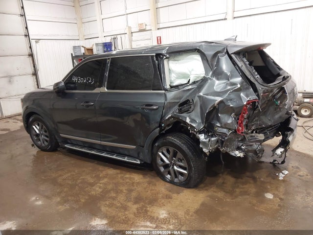 2024 Kia Telluride Lx მანქანა იყიდება აუქციონზე, vin: 5XYP2DGC0RG556980, აუქციონის ნომერი: 44302523