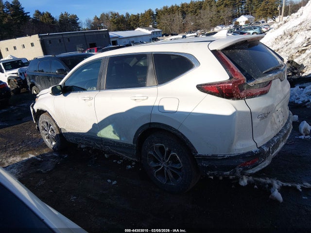 Honda Cr-v Awd Ex 2020 5J6RW2H58LL031768 Image 14