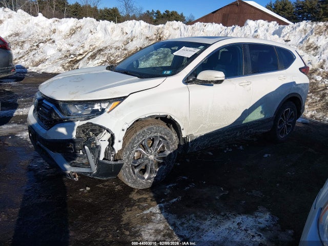 Honda Cr-v Awd Ex 2020 5J6RW2H58LL031768 Image 2
