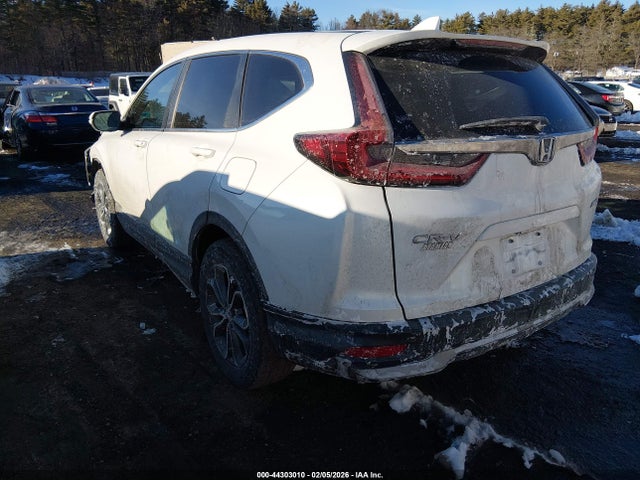 Honda Cr-v Awd Ex 2020 5J6RW2H58LL031768 Image 3