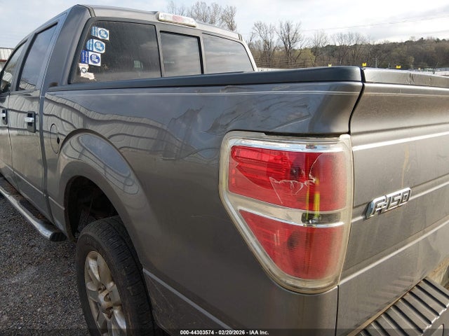 Ford F-150 Xlt 2014 1FTFW1CT4EKF01747 Image 12