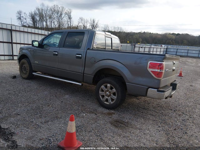 Ford F-150 Xlt 2014 1FTFW1CT4EKF01747 Image 3