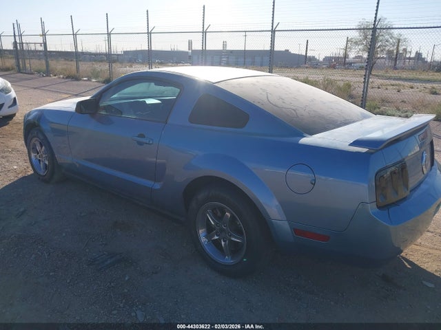 2006 FORD MUSTANG 1ZVFT80N065167785 Photo 2