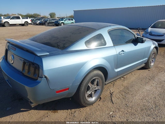 2006 FORD MUSTANG 1ZVFT80N065167785 Photo 3
