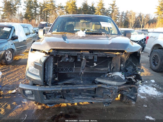 1FTEX1EPXGFA65846 Ford F-150 Xl