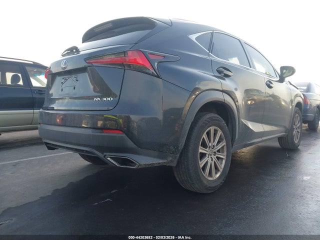 2019 LEXUS NX 300 JTJBARBZ1K2192796 Photo 3