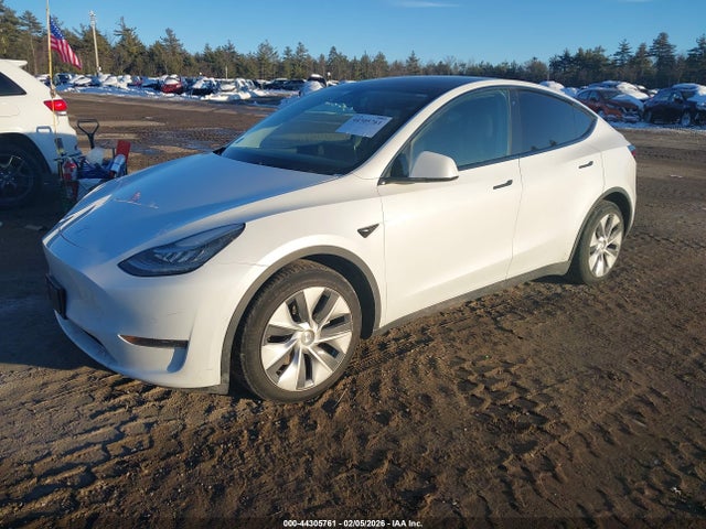 2020 TESLA MODEL Y 5YJYGDEEXLF037010 Photo 1
