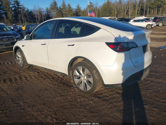 2020 TESLA MODEL Y 5YJYGDEEXLF037010 Photo 2
