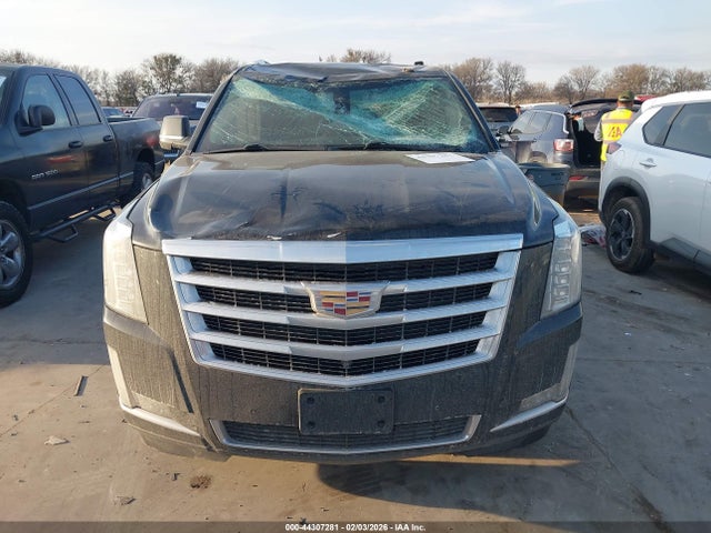 44307281 :رقم المزاد ، 1GYS3AKJ7LR140813 vin ، 2020 Cadillac Escalade 2wd Standard مزاد بيع