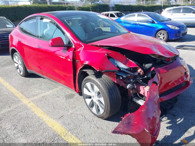 2023 TESLA MODEL Y 7SAYGDEE4PF623615 Photo 0