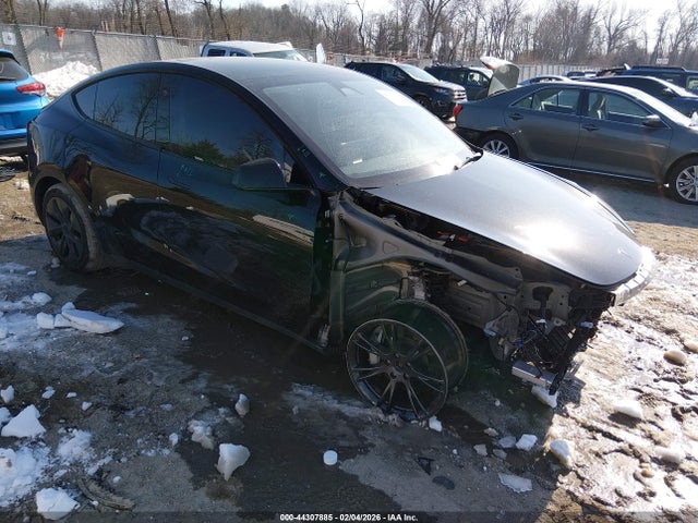 2024 TESLA MODEL Y 7SAYGDEE6RA328600 Photo 0