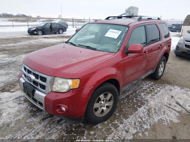 2009 FORD ESCAPE 1FMCU94G99KD08567 Photo 1