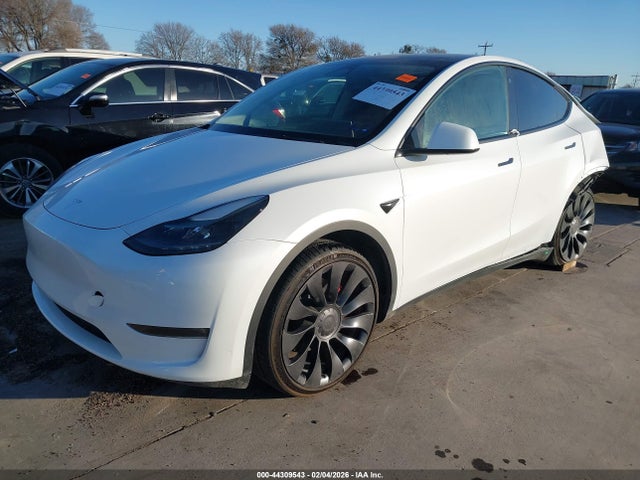 2023 TESLA MODEL Y 7SAYGDEFXPF757909 Photo 1