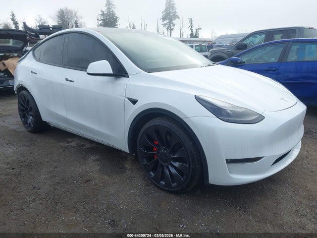 2023 TESLA MODEL Y 7SAYGDEF6PF603052 Photo 0