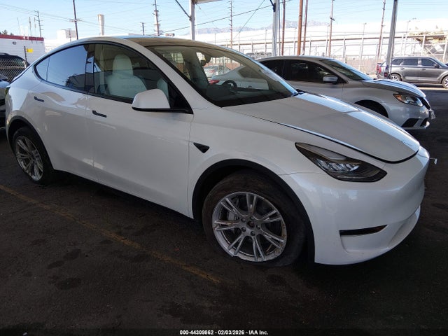 2023 TESLA MODEL Y 7SAYGDEE1PA154304 Photo 0