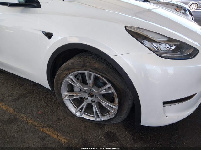 2023 TESLA MODEL Y 7SAYGDEE1PA154304 Photo 5