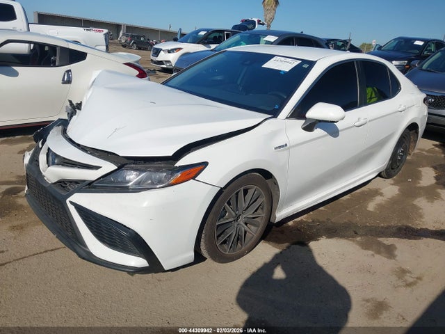 4T1G31AK9MU026392 Toyota Camry Se Hybrid