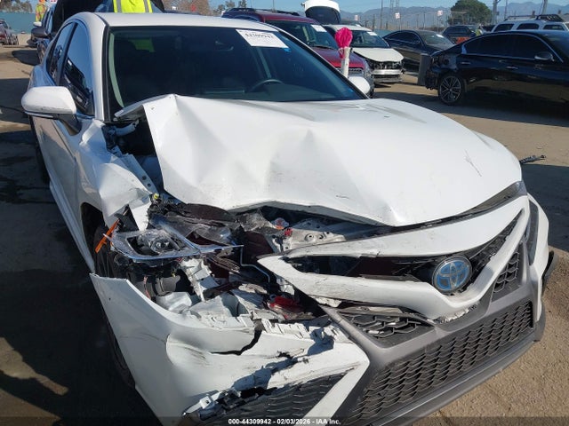 4T1G31AK9MU026392 Toyota Camry Se Hybrid