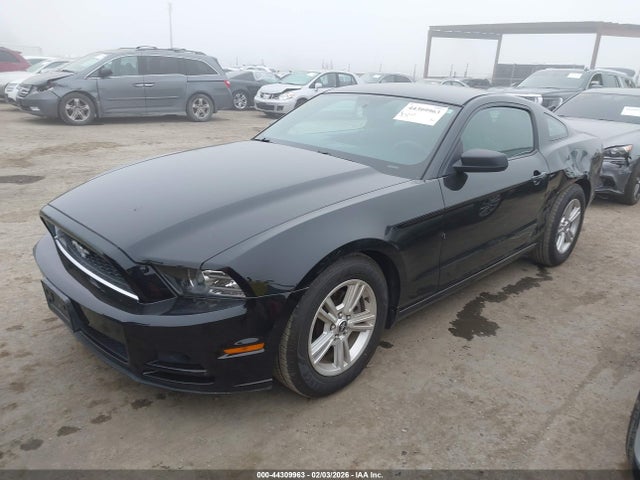 2014 Ford Mustang V6 მანქანა იყიდება აუქციონზე, vin: 1ZVBP8AM1E5333917, აუქციონის ნომერი: 44309963