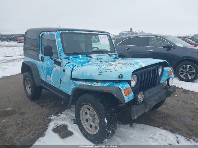 2002 JEEP WRANGLER 1J4FA39S82P746794