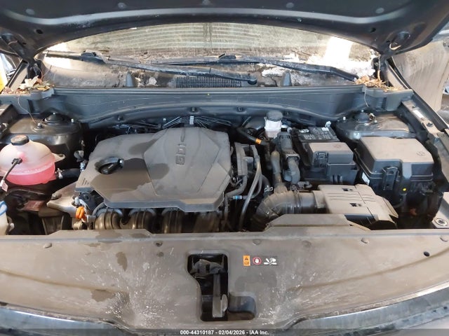 44310187 :رقم المزاد ، 5XYK6CDFXRG195720 vin ، 2024 Kia Sportage X-line مزاد بيع