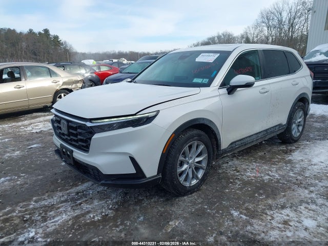 2024 HONDA CR-V 2HKRS4H42RH434288 Photo 1