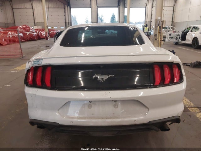 Ford Mustang Ecoboost Premium Fastback 2020 1FA6P8TH2L5132194 Image 16