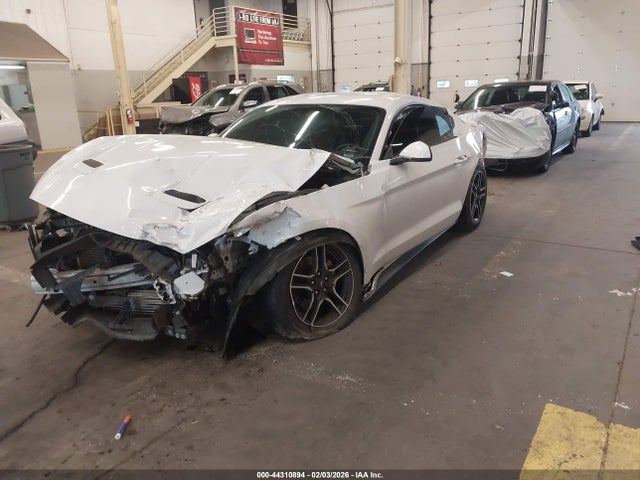 Ford Mustang Ecoboost Premium Fastback 2020 1FA6P8TH2L5132194 Image 2