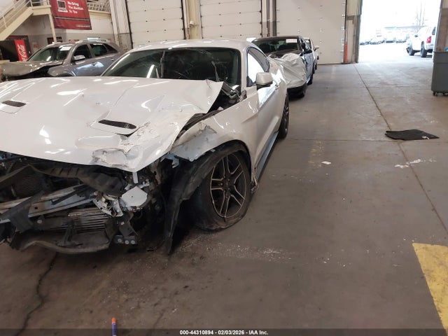 Ford Mustang Ecoboost Premium Fastback 2020 1FA6P8TH2L5132194 Image 6