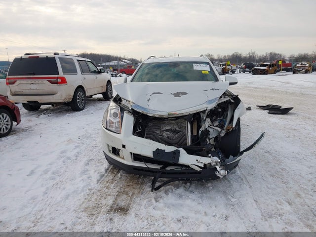 2010 Cadillac Srx Luxury Collection მანქანა იყიდება აუქციონზე, vin: 3GYFNDEY6AS596253, აუქციონის ნომერი: 44313423