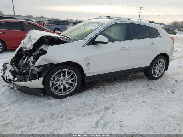 2010 CADILLAC SRX 3GYFNDEY6AS596253 Photo 1