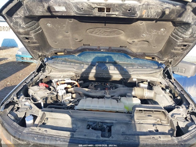 Ford F-150 Xlt 2024 1FTFW3LD2RFA25453 Image 10