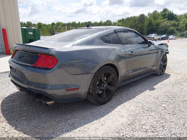 Ford Mustang Ecoboost Premium Fastback 2022 1FA6P8TH1N5128012 Image 4