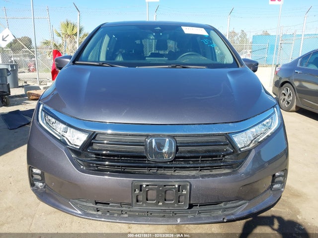 2024 HONDA ODYSSEY 5FNRL6H94RB057742 Photo 5